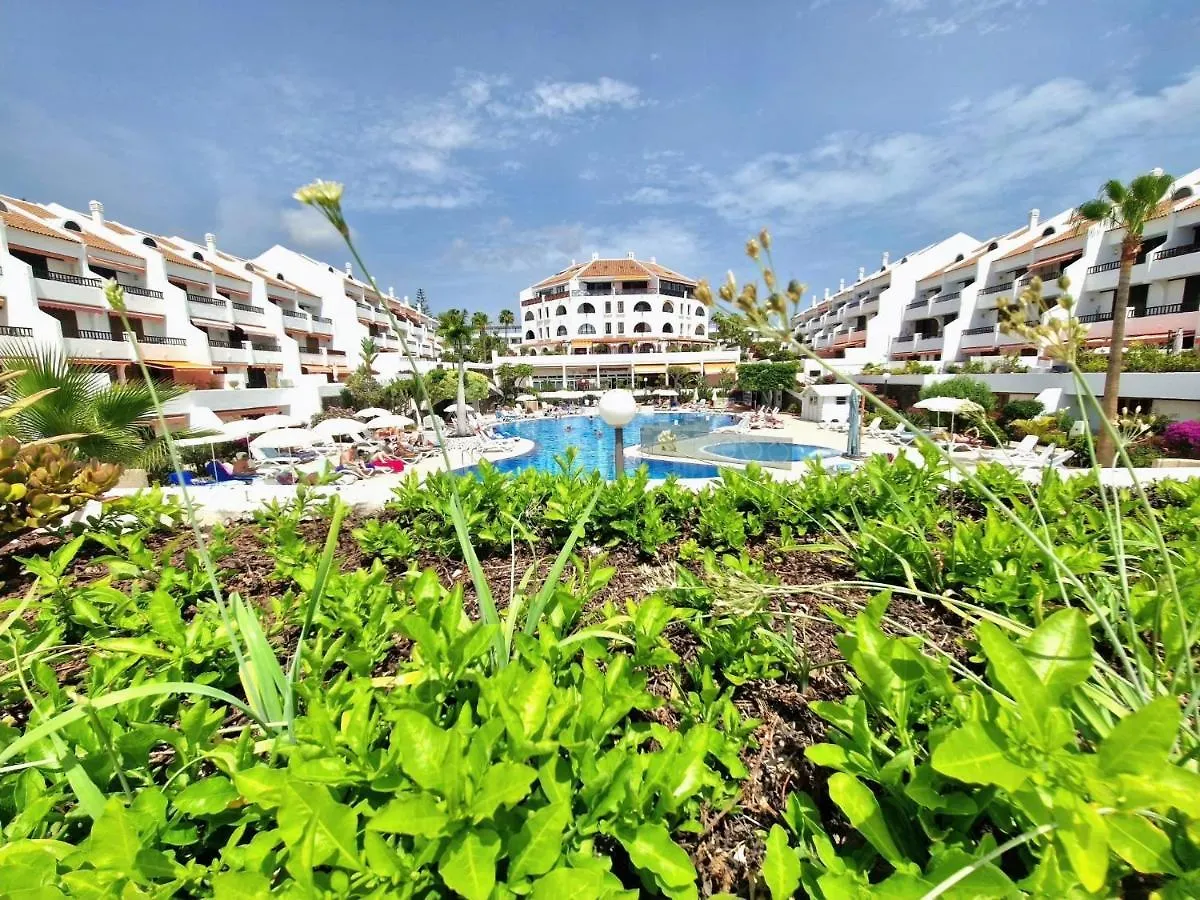 Apartment Parque Santiago 1 F-348 By Tenerife Dream Properties Playa de las Americas  Spain